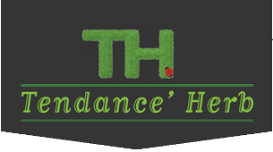 TENDANCE HERB