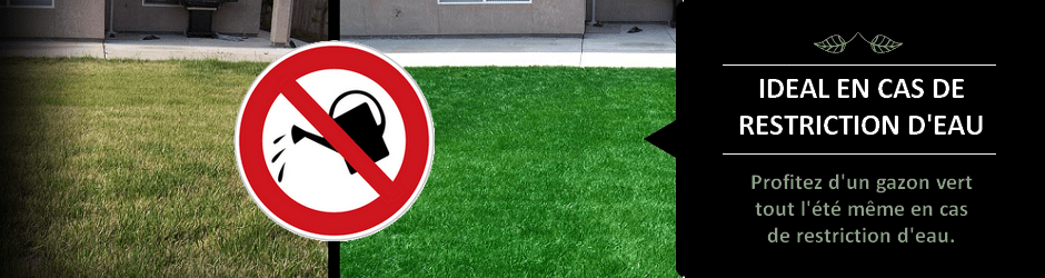 Peinture pour gazon Tendance Herb